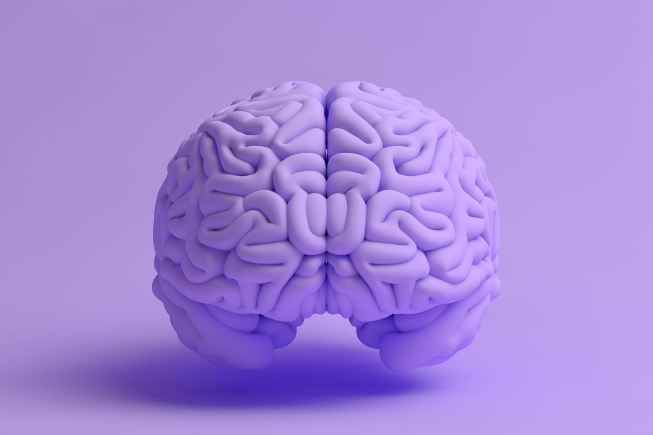 Ilustración de un cerebro, representando el concepto de neuroinflamación